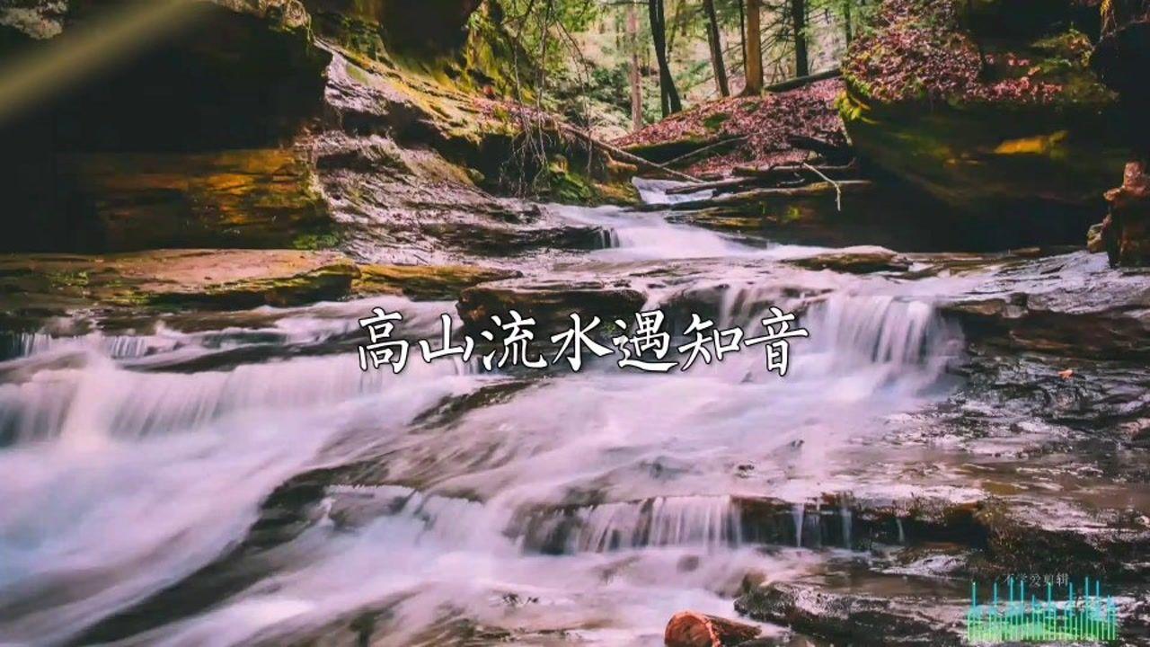 救援受困的小野猫